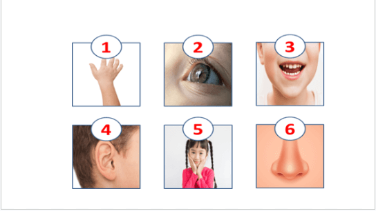 Giáo án điện tử Tiếng Anh lớp 3 Global Success Fun time trang 42 | PPT Tiếng Anh lớp 3