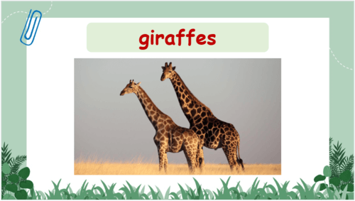 Giáo án điện tử Tiếng Anh lớp 4 Global Success Unit 19 Lesson 2 | PPT Tiếng Anh lớp 4