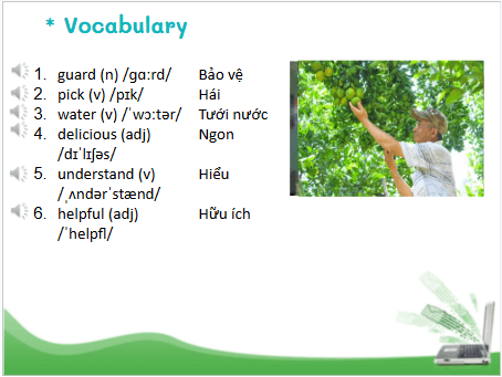 Giáo án điện tử Tiếng Anh 6 Global Success Unit 12 A Closer Look 1 | PPT Tiếng Anh 6