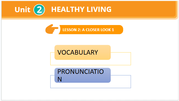 Giáo án điện tử Tiếng Anh 7 Global Success Unit 2 A Closer Look 1 | PPT Tiếng Anh 7
