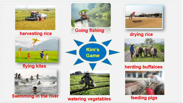 Giáo án điện tử Tiếng Anh 8 Global Success Unit 2 Looking Back | PPT Tiếng Anh 8