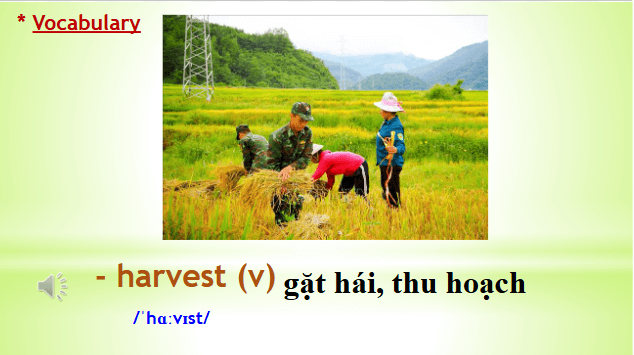 Giáo án điện tử Tiếng Anh 8 Global Success Unit 4 A Closer Look 2 | PPT Tiếng Anh 8