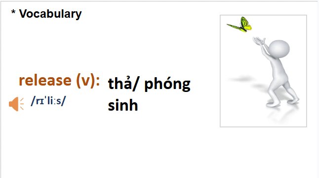 Giáo án điện tử Tiếng Anh 8 Global Success Unit 5 Skills 1 | PPT Tiếng Anh 8
