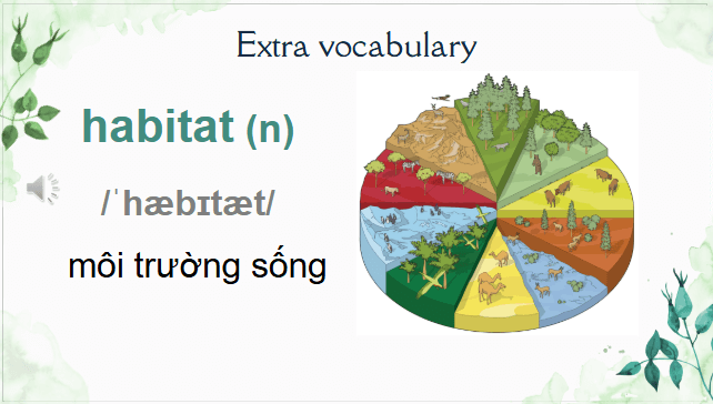 Giáo án điện tử Tiếng Anh 8 Global Success Unit 7 Getting Started | PPT Tiếng Anh 8