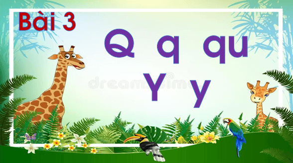 Giáo án điện tử Bài 3: Q, q, qu, Y, y lớp 1 | PPT Tiếng Việt lớp 1 Chân trời sáng tạo