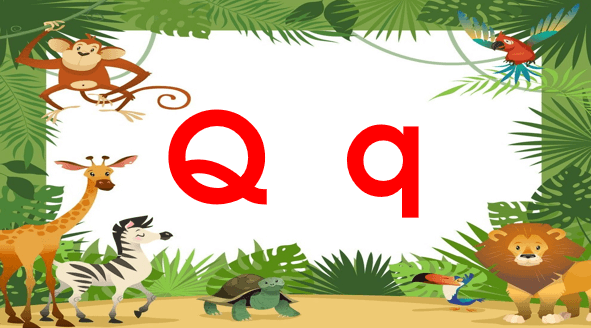 Giáo án điện tử Bài 3: Q, q, qu, Y, y lớp 1 | PPT Tiếng Việt lớp 1 Chân trời sáng tạo