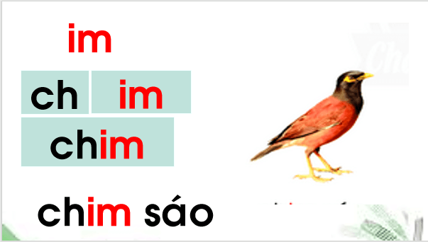Giáo án điện tử Bài 4: im, um lớp 1 | PPT Tiếng Việt lớp 1 Chân trời sáng tạo