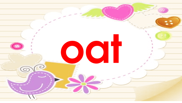 Giáo án điện tử Bài 4: oat, oan, oang lớp 1 | PPT Tiếng Việt lớp 1 Chân trời sáng tạo