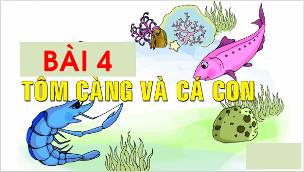 Giáo án điện tử Bài 4: Tôm càng và cá con lớp 1 | PPT Tiếng Việt lớp 1 Chân trời sáng tạo