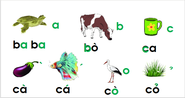 Giáo án điện tử Bài 5: Ôn tập và kể chuyện trang 18 lớp 1 | PPT Tiếng Việt lớp 1 Chân trời sáng tạo