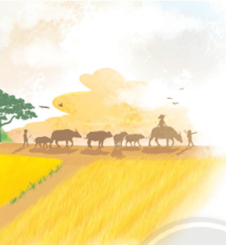 Giáo án Tiếng Việt lớp 2 Bài 3: Mùa lúa chín | Chân trời sáng tạo