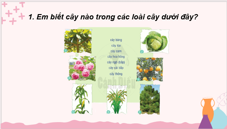 Giáo án điện tử Tiếng vườn lớp 2 | PPT Tiếng Việt lớp 2 Cánh diều