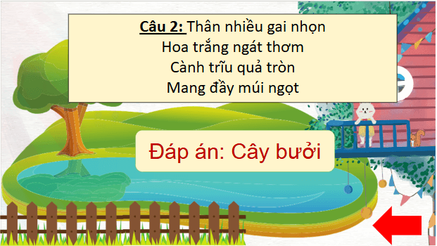 Giáo án điện tử Cây gạo trang 27, 28 Tập 2 lớp 3 | PPT Tiếng Việt lớp 3 Kết nối tri thức