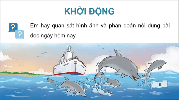 Giáo án điện tử Cá heo ở biển Trường Sa lớp 4 | PPT Tiếng Việt lớp 4 Chân trời sáng tạo