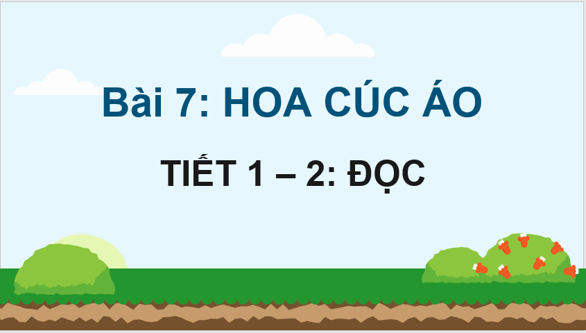 Giáo án điện tử Hoa cúc áo lớp 4 | PPT Tiếng Việt lớp 4 Chân trời sáng tạo