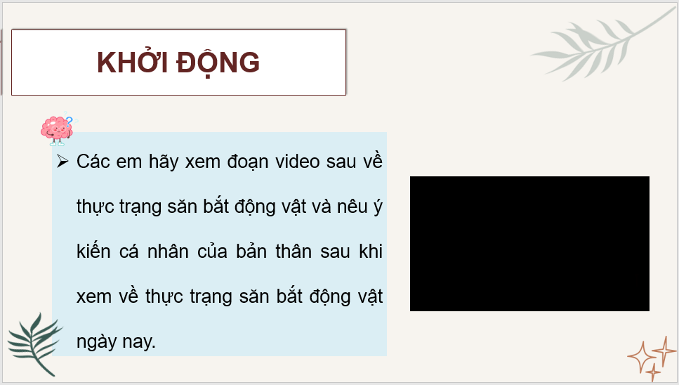 Giáo án điện tử Chung tay bảo vệ động vật lớp 4 | PPT Tiếng Việt lớp 4 Kết nối tri thức