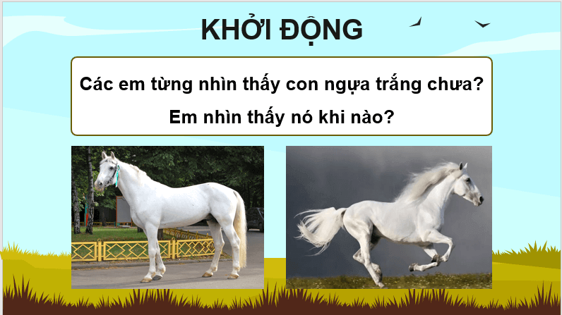 Giáo án điện tử Đôi cánh của ngựa trắng lớp 4 | PPT Tiếng Việt lớp 4 Kết nối tri thức