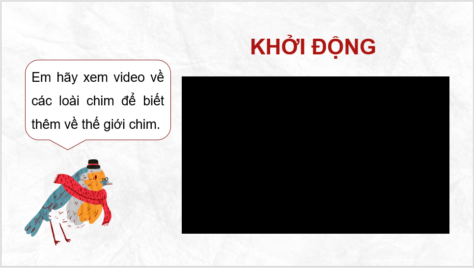 Giáo án điện tử Kể chuyện: Chuyện của loài chim lớp 4 | PPT Tiếng Việt lớp 4 Cánh diều