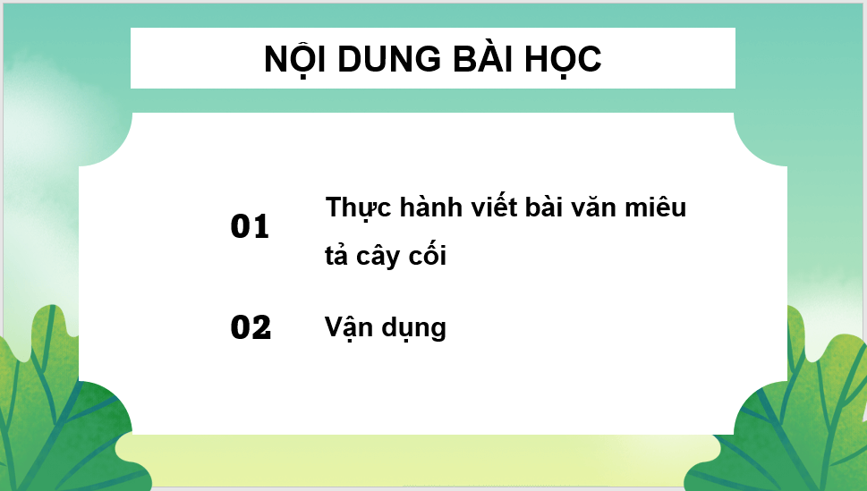 Giáo án điện tử Viết bài văn miêu tả cây cối lớp 4 | PPT Tiếng Việt lớp 4 Chân trời sáng tạo