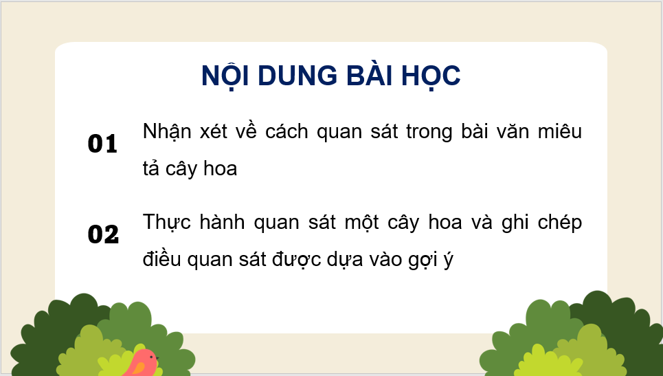 Giáo án điện tử Luyện tập quan sát, tìm ý cho bài văn miêu tả cây cối lớp 4 | PPT Tiếng Việt lớp 4 Chân trời sáng tạo