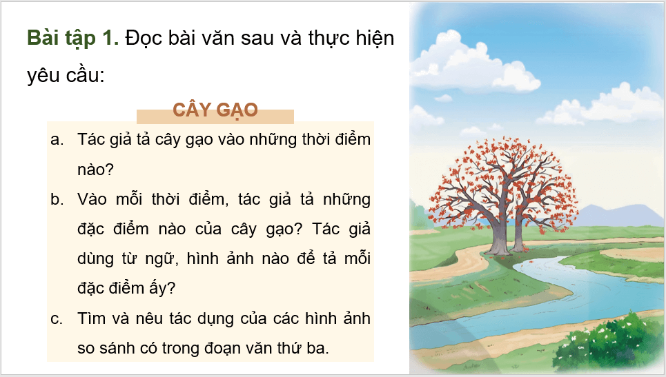 Giáo án điện tử Luyện tập quan sát, tìm ý cho bài văn miêu tả cây cối lớp 4 | PPT Tiếng Việt lớp 4 Chân trời sáng tạo