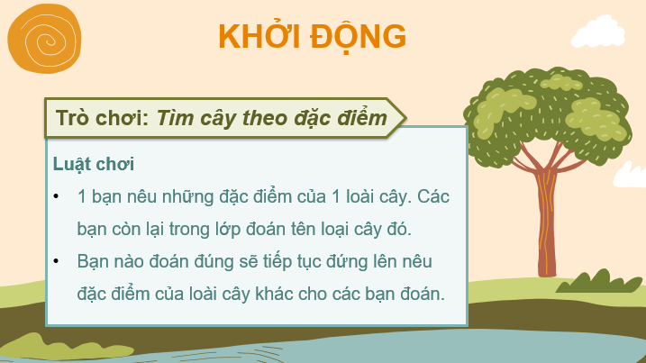 Giáo án điện tử Luyện tập tả cây cối (trang 72) lớp 4 | PPT Tiếng Việt lớp 4 Cánh diều
