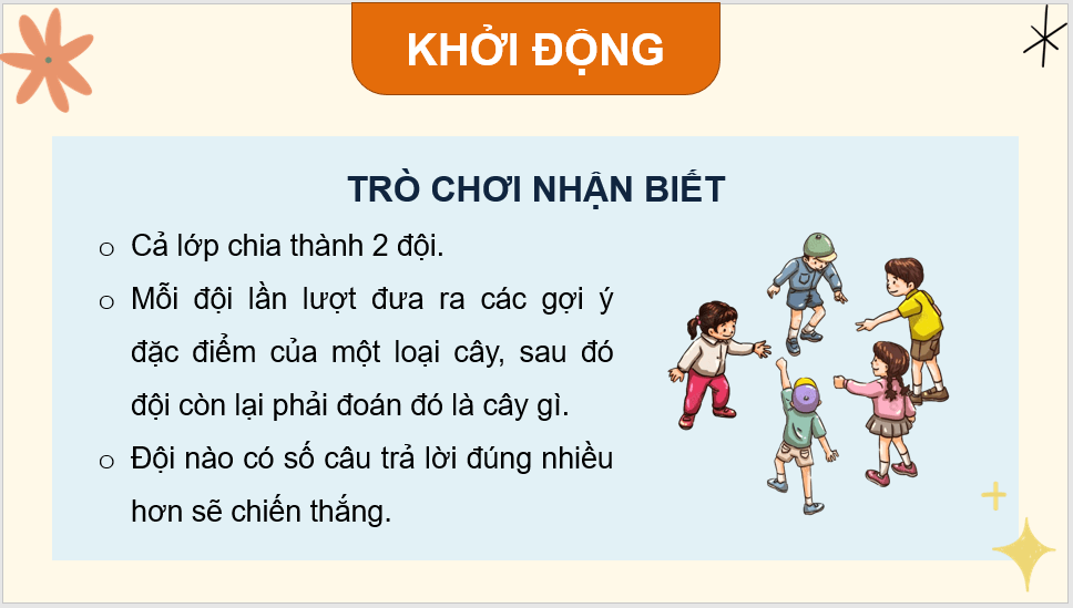 Giáo án điện tử Luyện viết đoạn văn miêu tả cây cối lớp 4 | PPT Tiếng Việt lớp 4 Kết nối tri thức