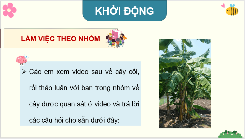 Giáo án điện tử Quan sát cây cối lớp 4 | PPT Tiếng Việt lớp 4 Kết nối tri thức