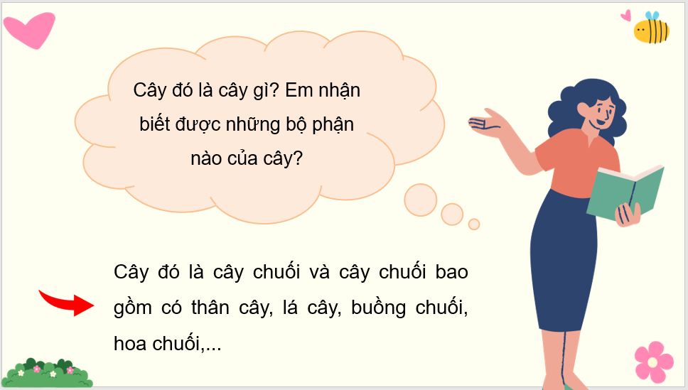 Giáo án điện tử Quan sát cây cối lớp 4 | PPT Tiếng Việt lớp 4 Kết nối tri thức