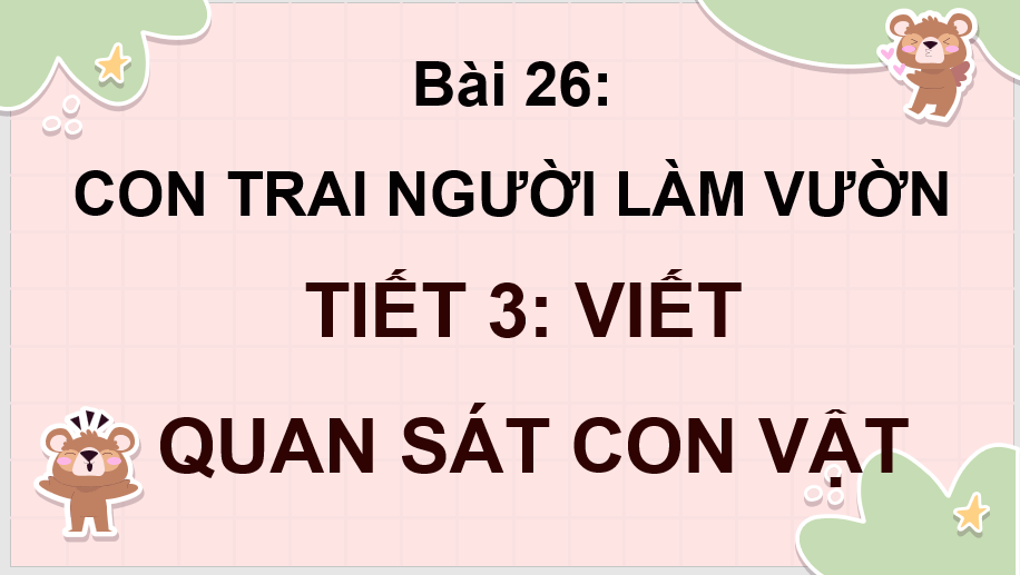 Giáo án điện tử Quan sát con vật lớp 4 | PPT Tiếng Việt lớp 4 Kết nối tri thức