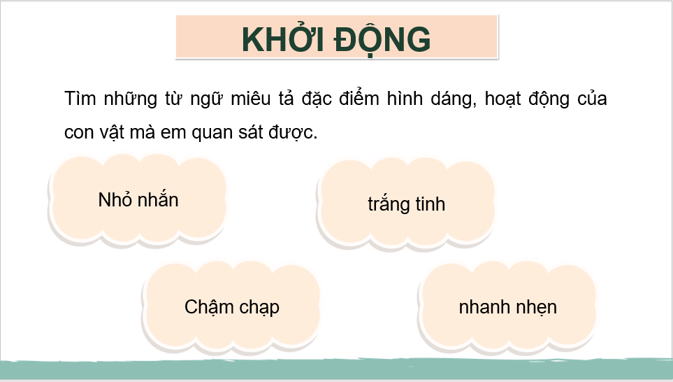 Giáo án điện tử Quan sát, tìm ý cho bài văn miêu tả con vật lớp 4 | PPT Tiếng Việt lớp 4 Chân trời sáng tạo