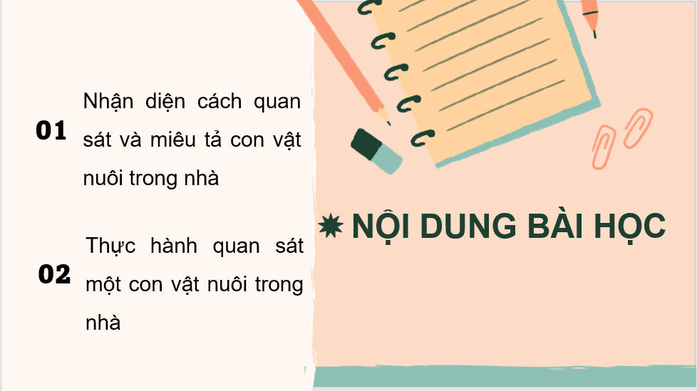 Giáo án điện tử Quan sát, tìm ý cho bài văn miêu tả con vật lớp 4 | PPT Tiếng Việt lớp 4 Chân trời sáng tạo