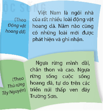 Giáo án Đọc mở rộng lớp 5 | Giáo án Tiếng Việt lớp 5 Kết nối tri thức (ảnh 2)