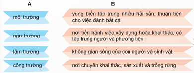 Giáo án (Luyện từ và câu lớp 5) Mở rộng vốn từ Môi trường | Giáo án Tiếng Việt lớp 5 Chân trời sáng tạo