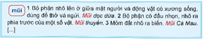 Giáo án (Luyện từ và câu lớp 5) Từ đa nghĩa | Giáo án Tiếng Việt lớp 5 Chân trời sáng tạo