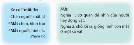 Giáo án (Luyện từ và câu lớp 5) Từ đa nghĩa | Giáo án Tiếng Việt lớp 5 Kết nối tri thức