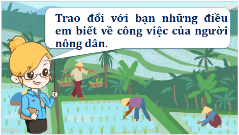 Giáo án điện tử Hạt gạo làng ta lớp 5 | PPT Tiếng Việt lớp 5 Kết nối tri thức