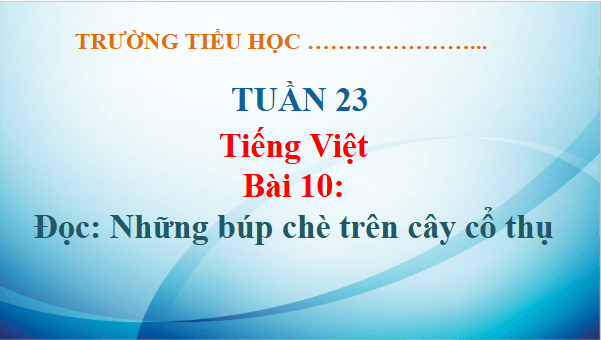 Giáo án điện tử Những búp chè trên cây cổ thụ lớp 5 | PPT Tiếng Việt lớp 5 Kết nối tri thức