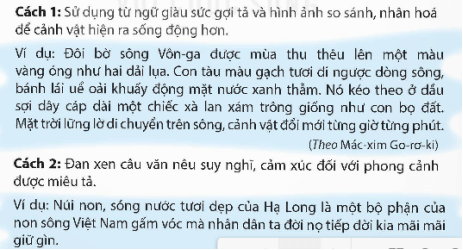 Giáo án Đánh giá, chỉnh sửa bài văn tả phong cảnh lớp 5 | Giáo án Tiếng Việt lớp 5 Kết nối tri thức