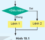 Giáo án Tin học 10 Kết nối tri thức Bài 19: Câu lệnh điều kiện If