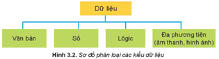 Giáo án Tin học 10 Kết nối tri thức Bài 3: Một số kiểu dữ liệu và dữ liệu văn bản