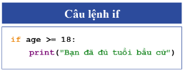 Giáo án Tin học 10 Cánh diều Bài 7: Thực hành câu lệnh rẽ nhánh