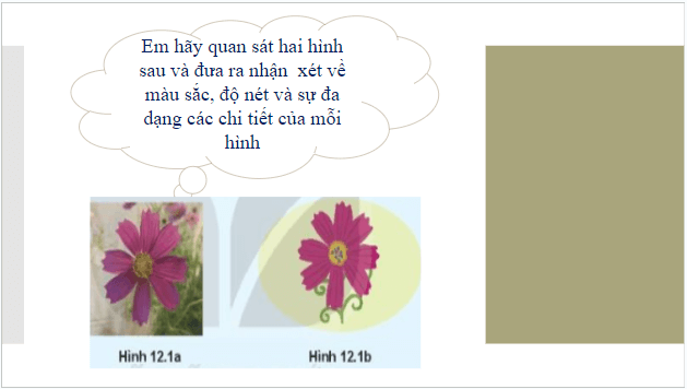 Giáo án điện tử Tin 10 Kết nối tri thức Bài 12: Phần mềm thiết kế đồ hoạ | PPT Tin học 10