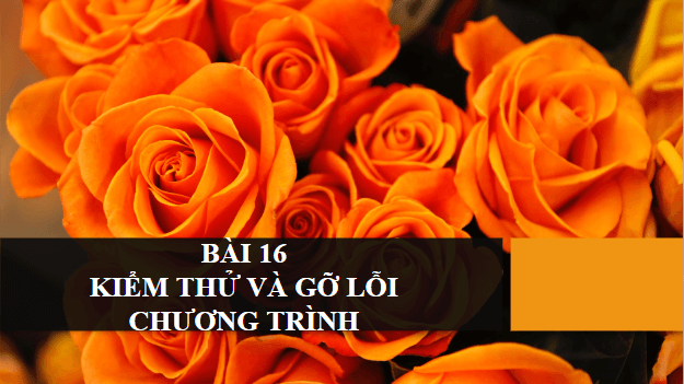 Giáo án điện tử Tin 10 Cánh diều Bài 16: Kiểm thử và gỡ lỗi chương trình | PPT Tin học 10