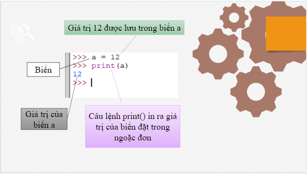 Giáo án điện tử Tin 10 Cánh diều Bài 2: Biến, phép gán và biểu thức số học | PPT Tin học 10