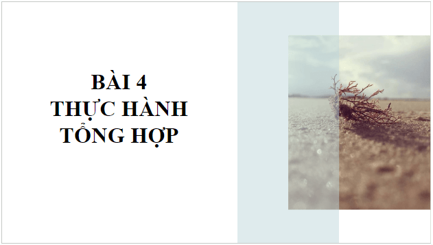 Giáo án điện tử Tin 10 Cánh diều Bài 4: Thực hành tổng hợp | PPT Tin học 10