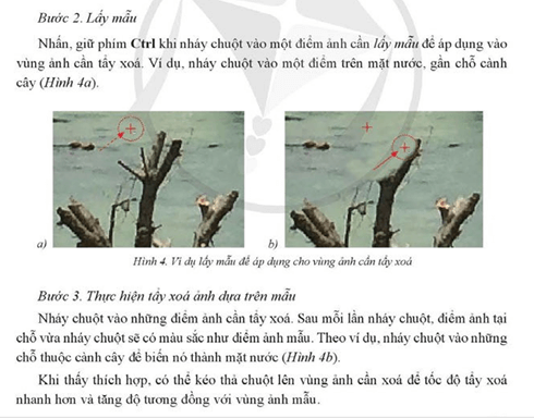 Giáo án Tin học 11 Cánh diều Bài 2: Tẩy xoá ảnh trong GIMP