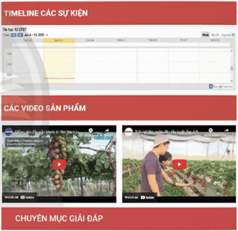 Giáo án Tin học 12 Chân trời sáng tạo Bài E6: Chèn YouTube, Calendar, Drive và Collapsible group