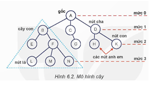 Giáo án Chuyên đề Tin học 12 Kết nối tri thức Bài 6: Cây nhị phân