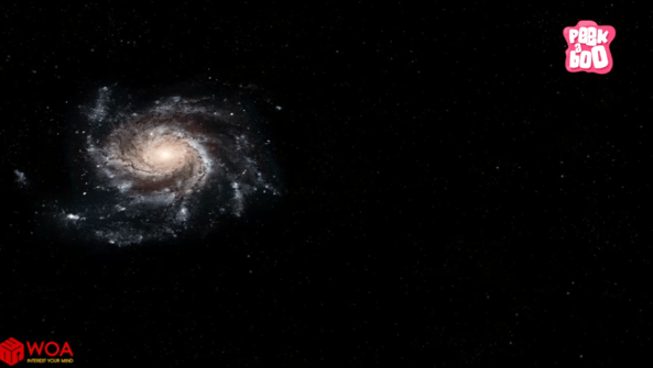 Giáo án điện tử Tin học lớp 3 Kết nối tri thức Bài 12: Tìm hiểu về thế giới tự nhiên | PPT Tin học lớp 3